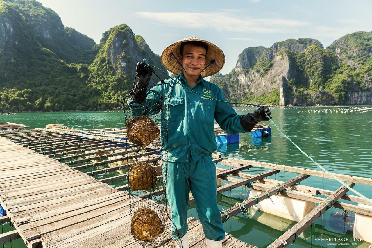 Heritage Line Violet Cruise - Halong Bay & Lan Ha Bay Ha Long Bagian luar foto